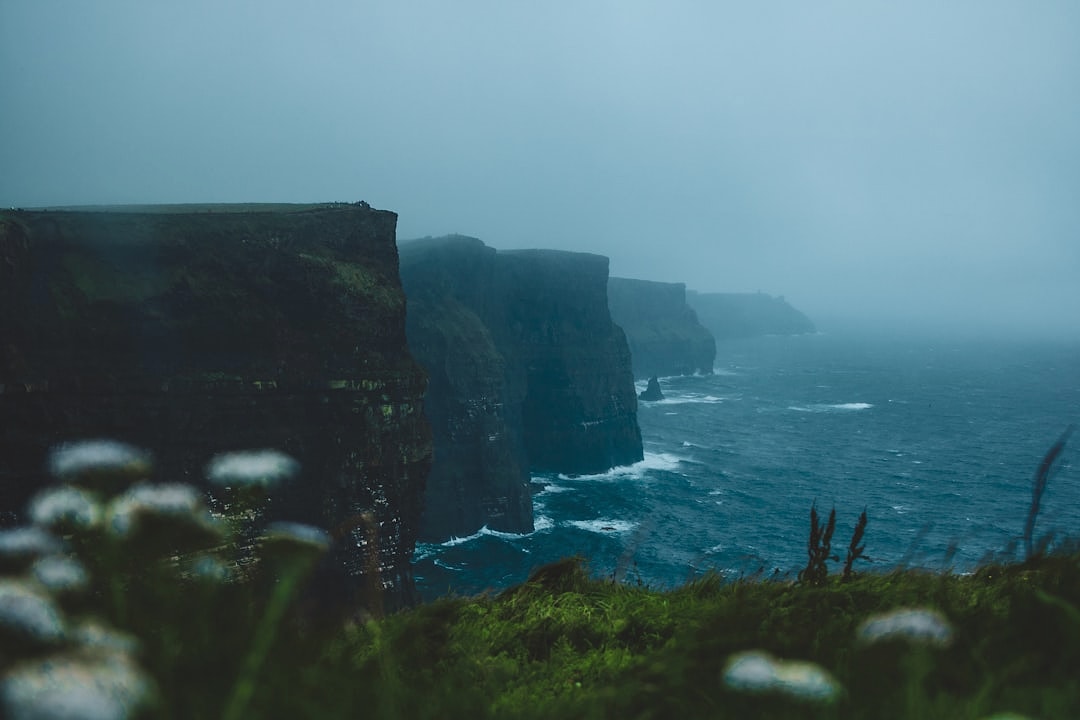 Irish landscape with a calm, structured environment